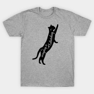 Everyday is Caturday T-Shirt